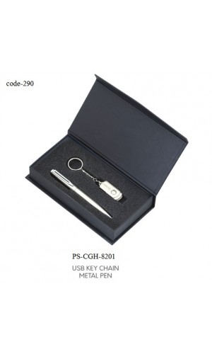 Pen and USB Key chain gifts Combo